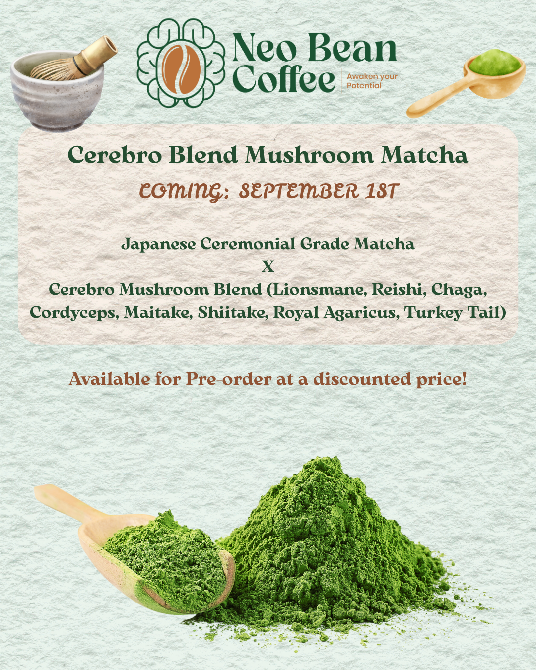 Cerebro Blend Mushroom Matcha