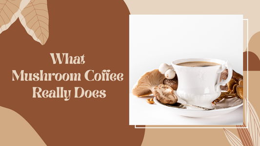 A cup of NeoBean mushroom coffee surrounded by functional mushrooms like Lion’s Mane, Reishi, and Chaga, symbolizing natural focus, stress relief, and immunity support.