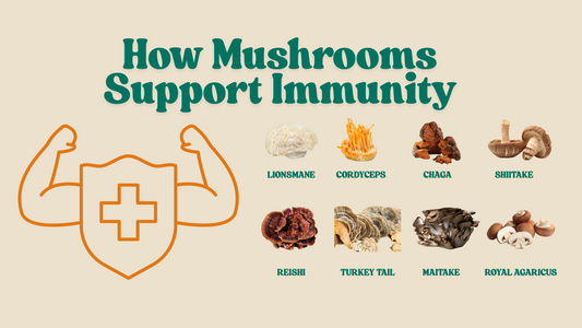 How Mushrooms Support Immunity
