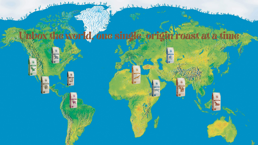 NeoBean’s Coffee Atlas: 10 Origins, 10 Distinct Stories in Every Cup