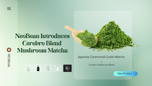 Cerebro Blend Mushroom Matcha by NeoBean – a ceremonial-grade matcha infused with 8 functional mushrooms for focus, calm energy, and brain support.