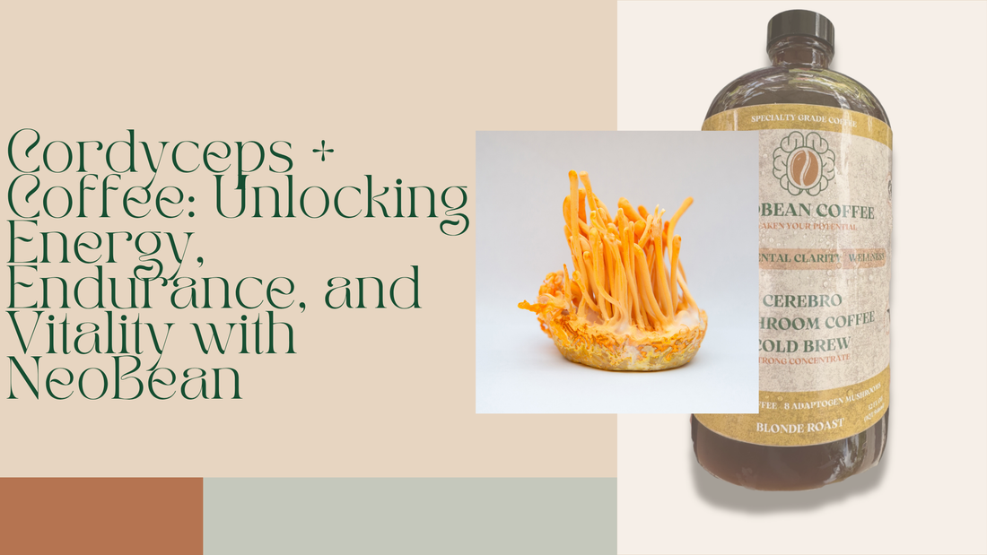 Cordyceps + Coffee