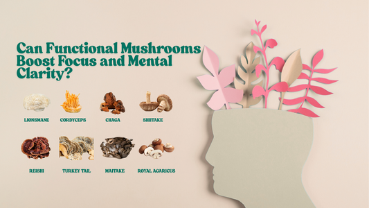 Can Functional Mushrooms Boost Focus and Mental Clarity? Let’s Look at the Research