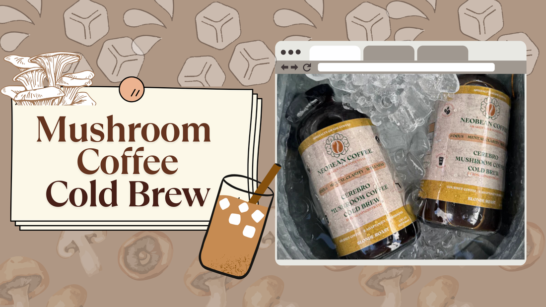 Mushroom Coffee Cold Brew