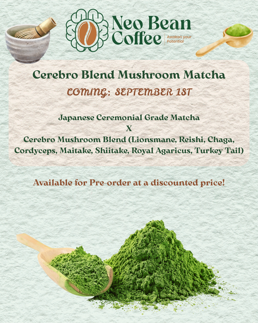 Cerebro Blend Mushroom Matcha – Preorder Now